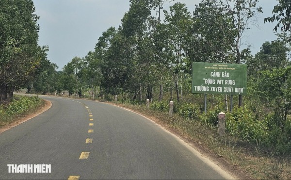 Ảnh phối cảnh 13 km đường trên cao xuyên Khu bảo tồn thiên nhiên văn hóa Đồng Nai Ảnh phối cảnh 13 km đường trên cao xuyên Khu bảo tồn thiên nhiên văn hóa Đồng Nai