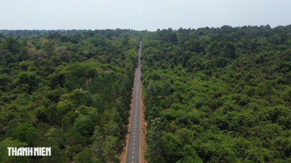 Ảnh phối cảnh 13 km đường trên cao xuyên Khu bảo tồn thiên nhiên văn hóa Đồng Nai Ảnh phối cảnh 13 km đường trên cao xuyên Khu bảo tồn thiên nhiên văn hóa Đồng Nai