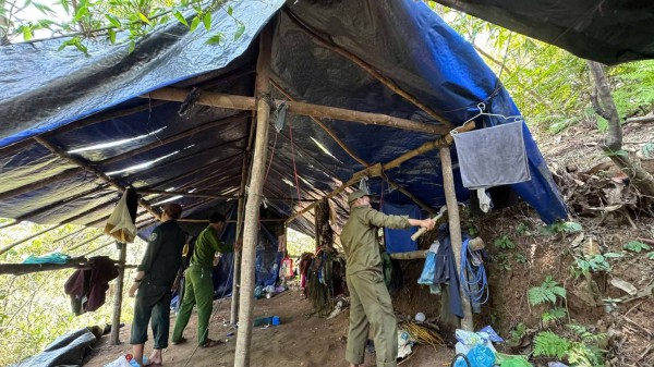 Đà Nẵng: Phát hiện 'công xưởng' khai thác vàng trái phép giữa rừng sâu Khe Ma