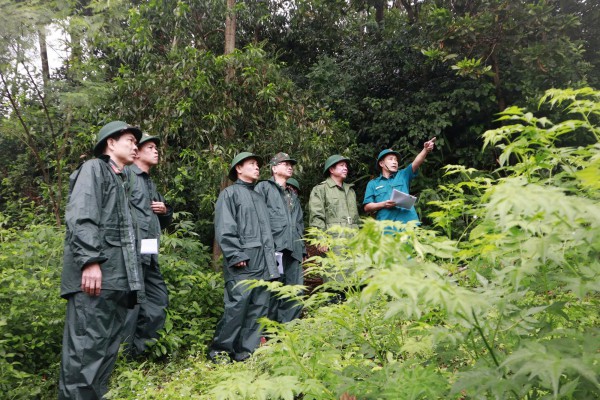 Đà Nẵng: Trắng đêm khắc phục sạt lở bờ biển Hội An Đà Nẵng: Trắng đêm khắc phục sạt lở bờ biển Hội An