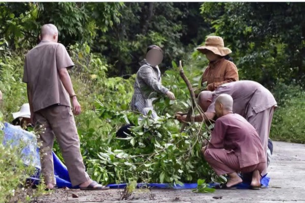 Đà Nẵng: Xử phạt nhóm người chặt nho rừng ở bán đảo Sơn Trà Đà Nẵng: Xử phạt nhóm người chặt nho rừng ở bán đảo Sơn Trà
