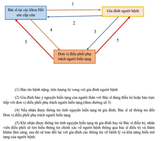 Đăng ký hiến tạng, thủ tục thế nào?