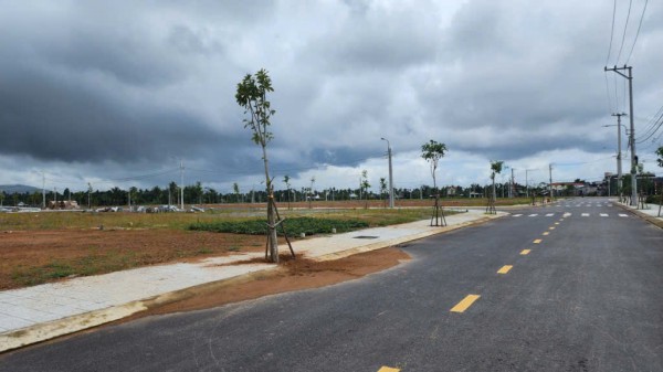 Đấu giá cao bất thường rồi bỏ cọc, 28 lô đất ở Quảng Ngãi bị hủy kết quả Đấu giá cao bất thường rồi bỏ cọc, 28 lô đất ở Quảng Ngãi bị hủy kết quả