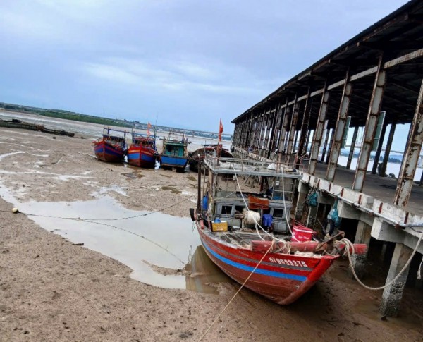 Đầu tư hàng trăm tỉ, cảng cá vẫn không 'đón' được tàu