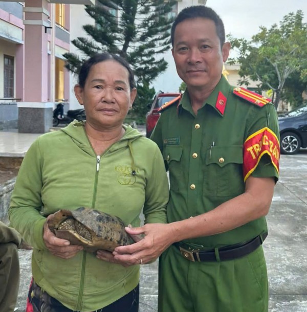 Đi hái rau, người phụ nữ bắt gặp rùa núi vàng quý hiếm Đi hái rau, người phụ nữ bắt gặp rùa núi vàng quý hiếm