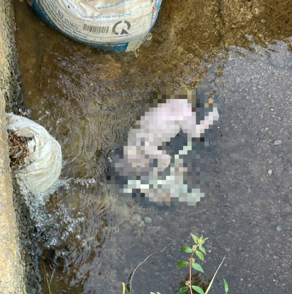 Đi tập thể dục, người dân phát hiện thi thể trẻ sơ sinh dưới kênh nước