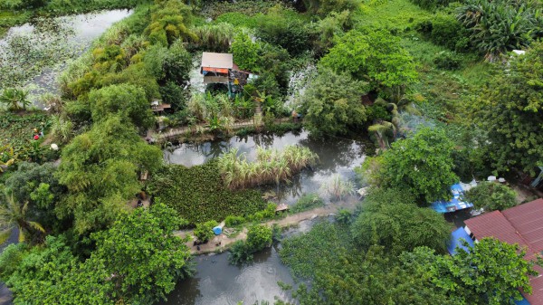 Đi xuyệt cá, 2 anh em ruột ở TP.HCM bị điện giật tử vong Đi xuyệt cá, 2 anh em ruột ở TP.HCM bị điện giật tử vong