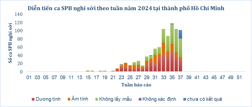 Địa phương nào ở TP.HCM đang có nhiều ca sởi nhất?