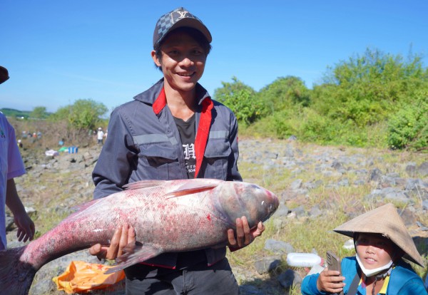 Đổ xô đi bắt cá ở chân đập tràn thủy điện lớn nhất miền Nam Đổ xô đi bắt cá ở chân đập tràn thủy điện lớn nhất miền Nam