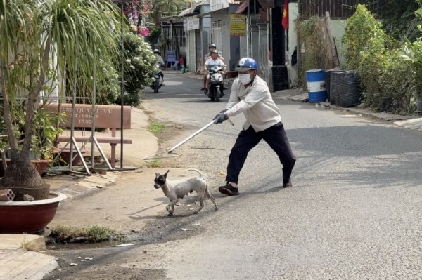 Đội bắt chó thả rông đầu tiên ở Đồng Nai 