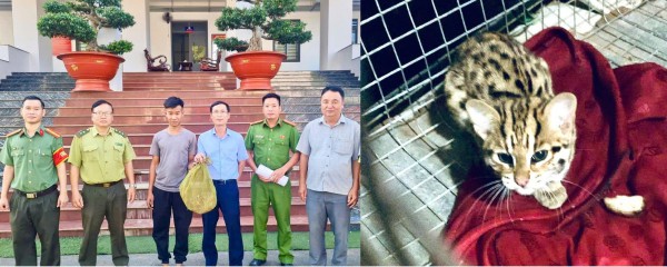 Đồng Nai: Công an tuần tra, phát hiện động vật quý hiếm đang bò trên quốc lộ 13 Đồng Nai: Công an tuần tra, phát hiện động vật quý hiếm đang bò trên quốc lộ 13