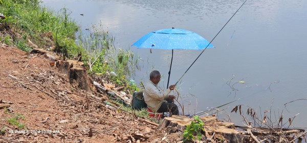 Đồng Nai: Hàng cây xanh ở cửa rừng Mã Đà bất ngờ bị đốn hạ