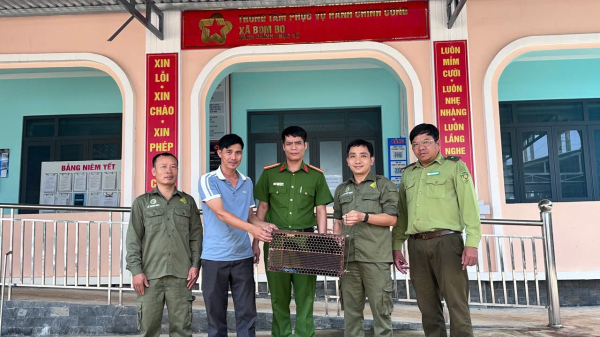 Đồng Nai: Người dân giao nộp rùa núi vàng, vượn má vàng quý hiếm 'đi lạc'