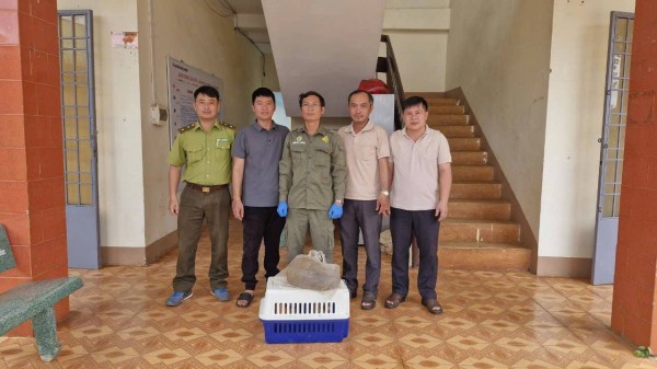 Đồng Nai: Thăm vườn, người dân bất ngờ phát hiện tê tê Java quý hiếm Đồng Nai: Thăm vườn, người dân bất ngờ phát hiện tê tê Java quý hiếm