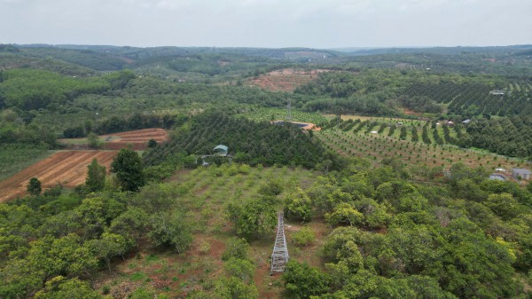 Đồng Nai: Trụ điện 110 kV không có đai ốc ngã đổ gây bất an