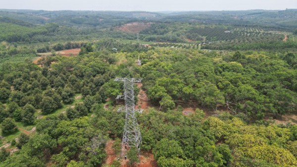 Đồng Nai: Trụ điện 110 kV không có đai ốc ngã đổ gây bất an