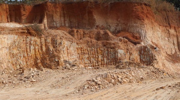 Đồng Nai: Xử phạt 70 triệu đồng do hủy hoại gần 0,5 ha đất