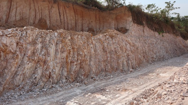 Đồng Nai: Xử phạt 70 triệu đồng do hủy hoại gần 0,5 ha đất