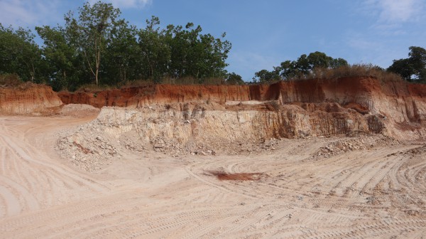 Đồng Nai: Xử phạt 70 triệu đồng do hủy hoại gần 0,5 ha đất