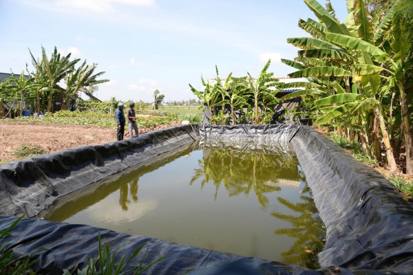 Đồng Tháp mở nhiều điểm cấp nước đối phó với xâm nhập mặn