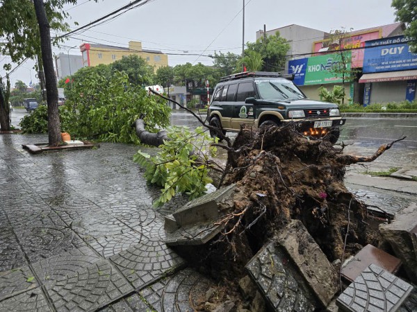 Đường phố Đồng Hới ngổn ngang, cây đổ mái tôn bay sau bão số 10 Đường phố Đồng Hới ngổn ngang, cây đổ mái tôn bay sau bão số 10