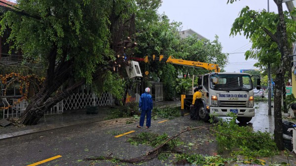 Đường phố Đồng Hới ngổn ngang, cây đổ mái tôn bay sau bão số 10 Đường phố Đồng Hới ngổn ngang, cây đổ mái tôn bay sau bão số 10