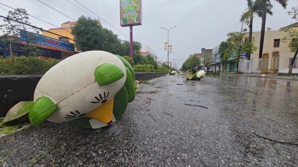 Đường phố Đồng Hới ngổn ngang, cây đổ mái tôn bay sau bão số 10 Đường phố Đồng Hới ngổn ngang, cây đổ mái tôn bay sau bão số 10