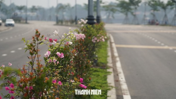 Đường ven sông Đồng Nai thông xe kỹ thuật, biệt thự 100 tuổi còn nguyên