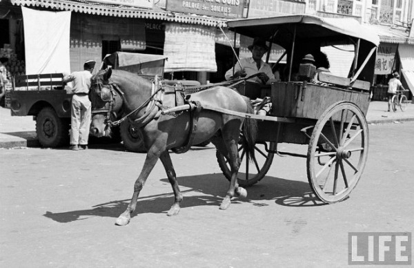 Ít ai biết, TP.HCM có 'đường của ngựa' hơn 100 năm trước chợ nhà giàu Ít ai biết, TP.HCM có 'đường của ngựa' hơn 100 năm trước chợ nhà giàu