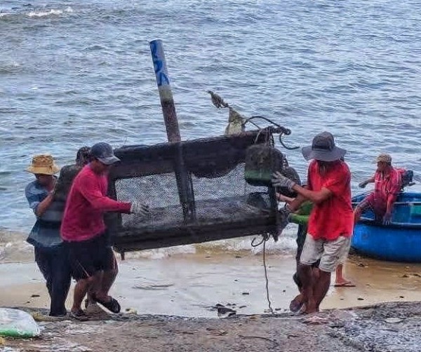 Ứng phó bão số 13 Kalmaegi: Người dân Đắk Lắk gia cố nhà cửa, di dời bè nuôi tôm hùm Ứng phó bão số 13 Kalmaegi: Người dân Đắk Lắk gia cố nhà cửa, di dời bè nuôi tôm hùm