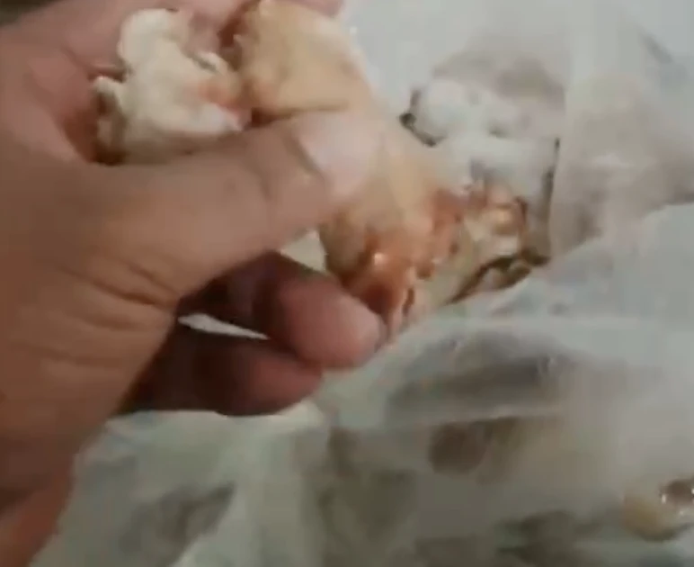 Bếp ăn bị tố ở Thủ Đức 