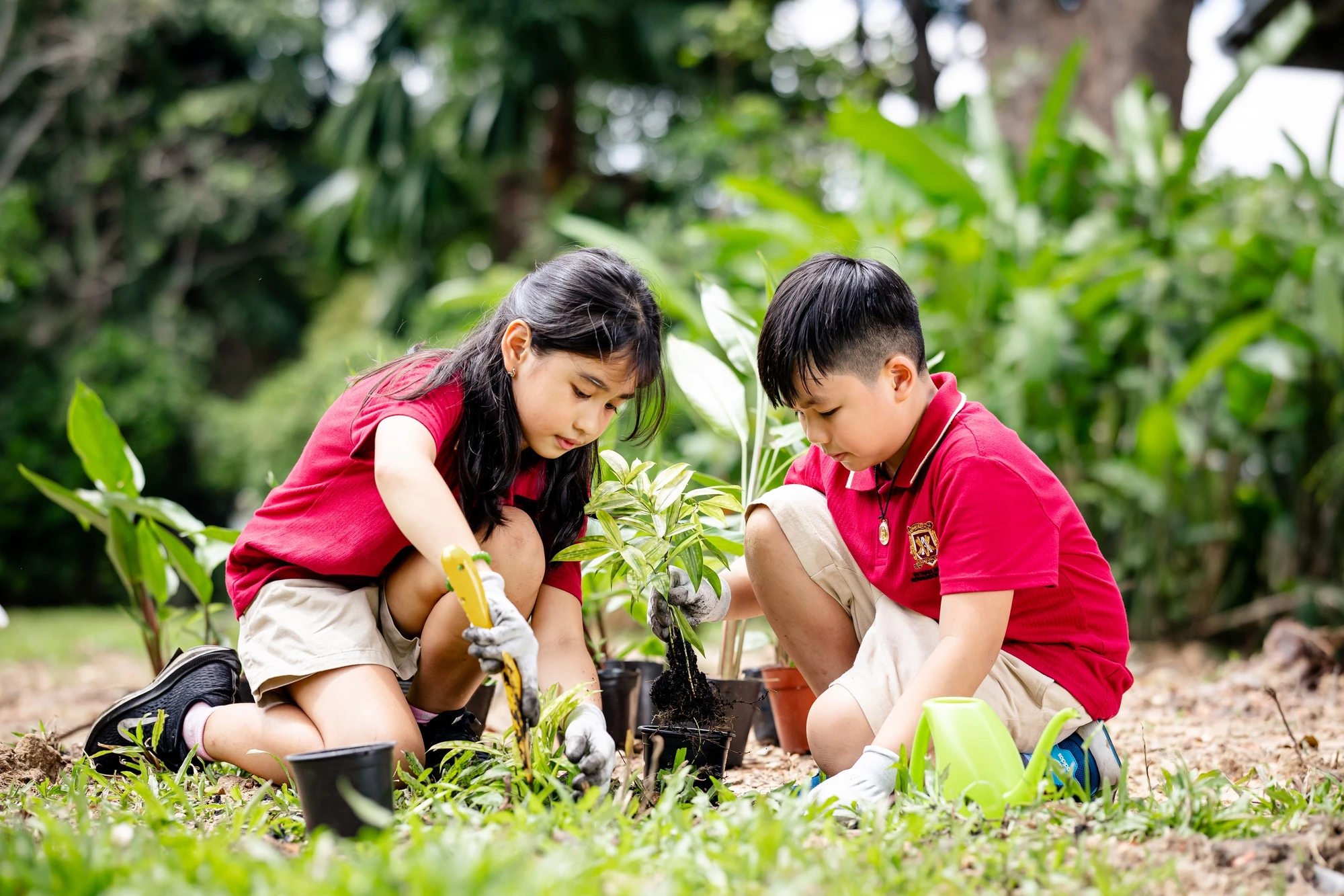 Các trường mầm non học phí trên trăm triệu đồng/năm ở TP.HCM