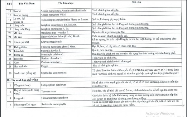 Cây gì bị cấm trồng trong trường học?