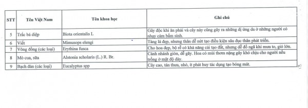 Cây gì bị cấm trồng trong trường học?