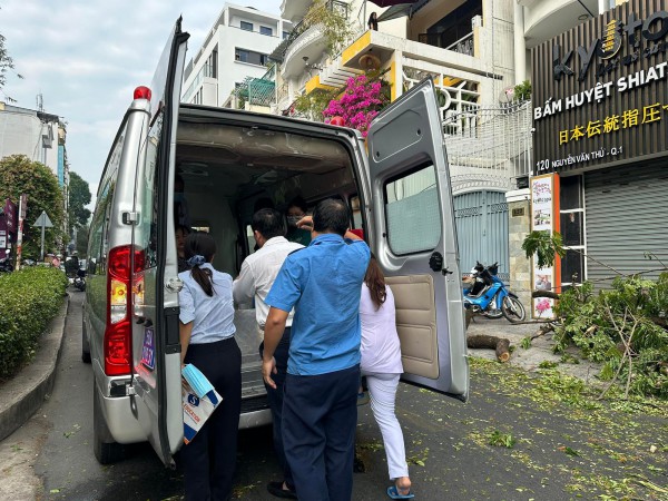 Cây xanh trong trường bật gốc, 5 người bị thương