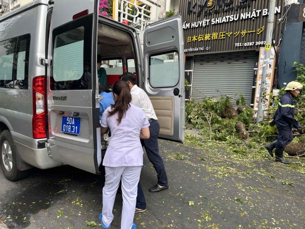 Cây xanh trong trường bật gốc: Báo cáo chính thức của nhà trường