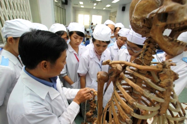 Chủ trương siết đào tạo y khoa và luật: Sinh viên nói gì?