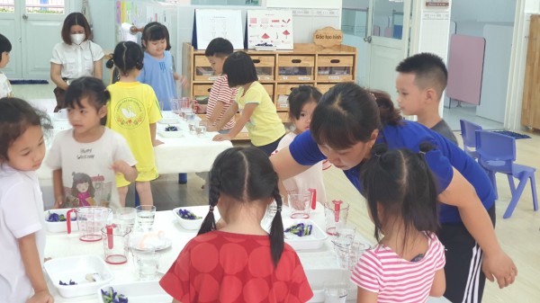 Giáo dục STEM, STEAM là gì, có khác nhau, tác dụng thế nào?