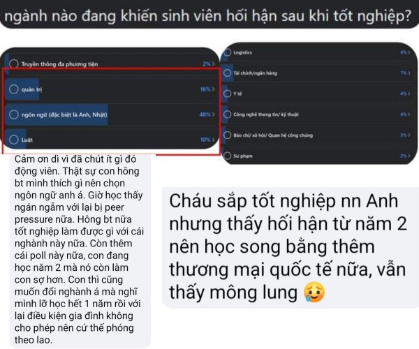 Giỏi tiếng Anh có nên theo ngành ngôn ngữ Anh?