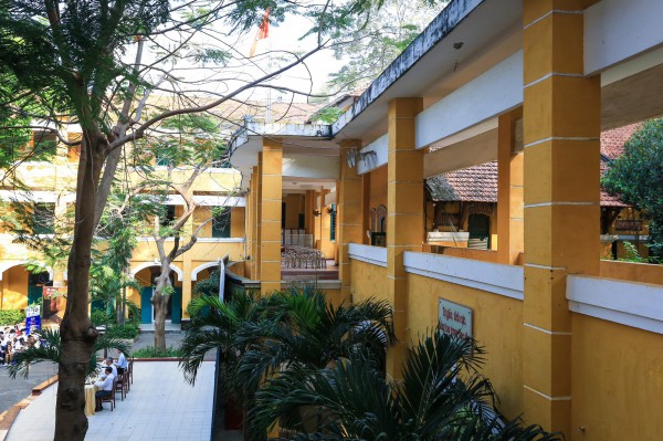 Không nên trồng cây gì trong trường học để tránh những chuyện đau lòng?