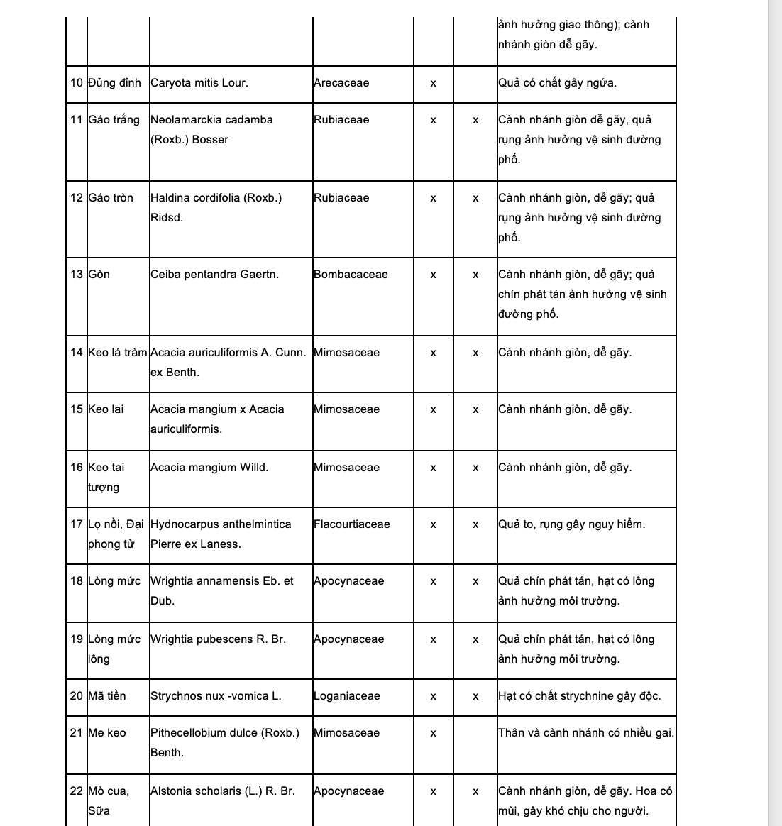 Không nên trồng cây gì trong trường học để tránh những chuyện đau lòng?