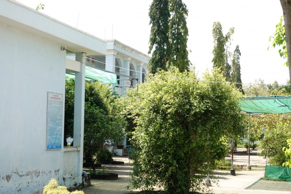 'Làng giáo viên' độc nhất miền Tây, nhiều gia đình 3 - 4 thế hệ theo nghề 'Làng giáo viên' độc nhất miền Tây, nhiều gia đình 3 - 4 thế hệ theo nghề