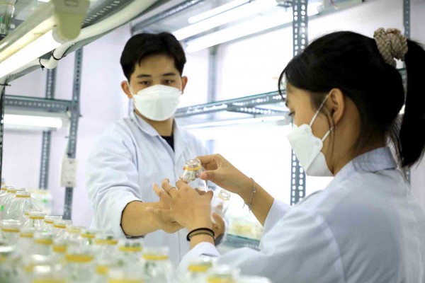 Liêm chính khoa học chính thức vào luật: Khoa học VN chuyển từ 'lượng' sang 'chất' ? Liêm chính khoa học chính thức vào luật: Khoa học VN chuyển từ 'lượng' sang 'chất' ?