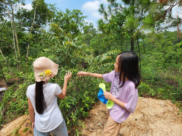 Nhiều cách hay cho trẻ chuẩn bị khép lại mùa hè, đón năm học mới Nhiều cách hay cho trẻ chuẩn bị khép lại mùa hè, đón năm học mới