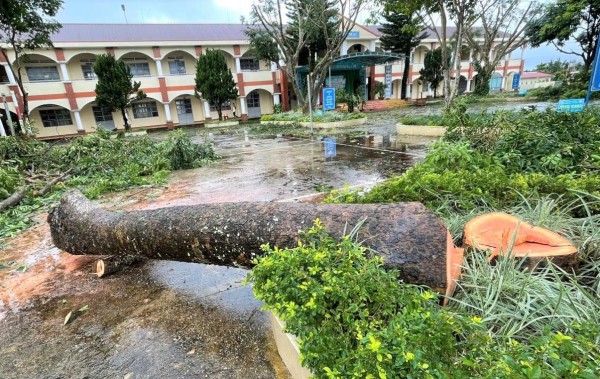 Nhiều sai phạm tại Trung tâm GDNN-GDTX Bảo Lộc, kiến nghị kiểm điểm giám đốc Nhiều sai phạm tại Trung tâm GDNN-GDTX Bảo Lộc, kiến nghị kiểm điểm giám đốc