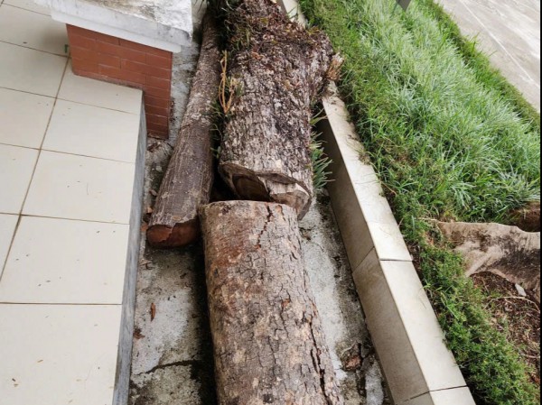 Nhiều sai phạm tại Trung tâm GDNN-GDTX Bảo Lộc, kiến nghị kiểm điểm giám đốc Nhiều sai phạm tại Trung tâm GDNN-GDTX Bảo Lộc, kiến nghị kiểm điểm giám đốc