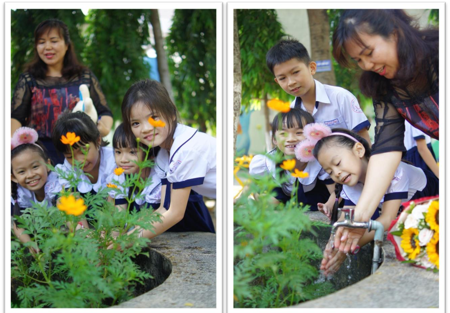 Những trường học ngát cây xanh ở TP.HCM