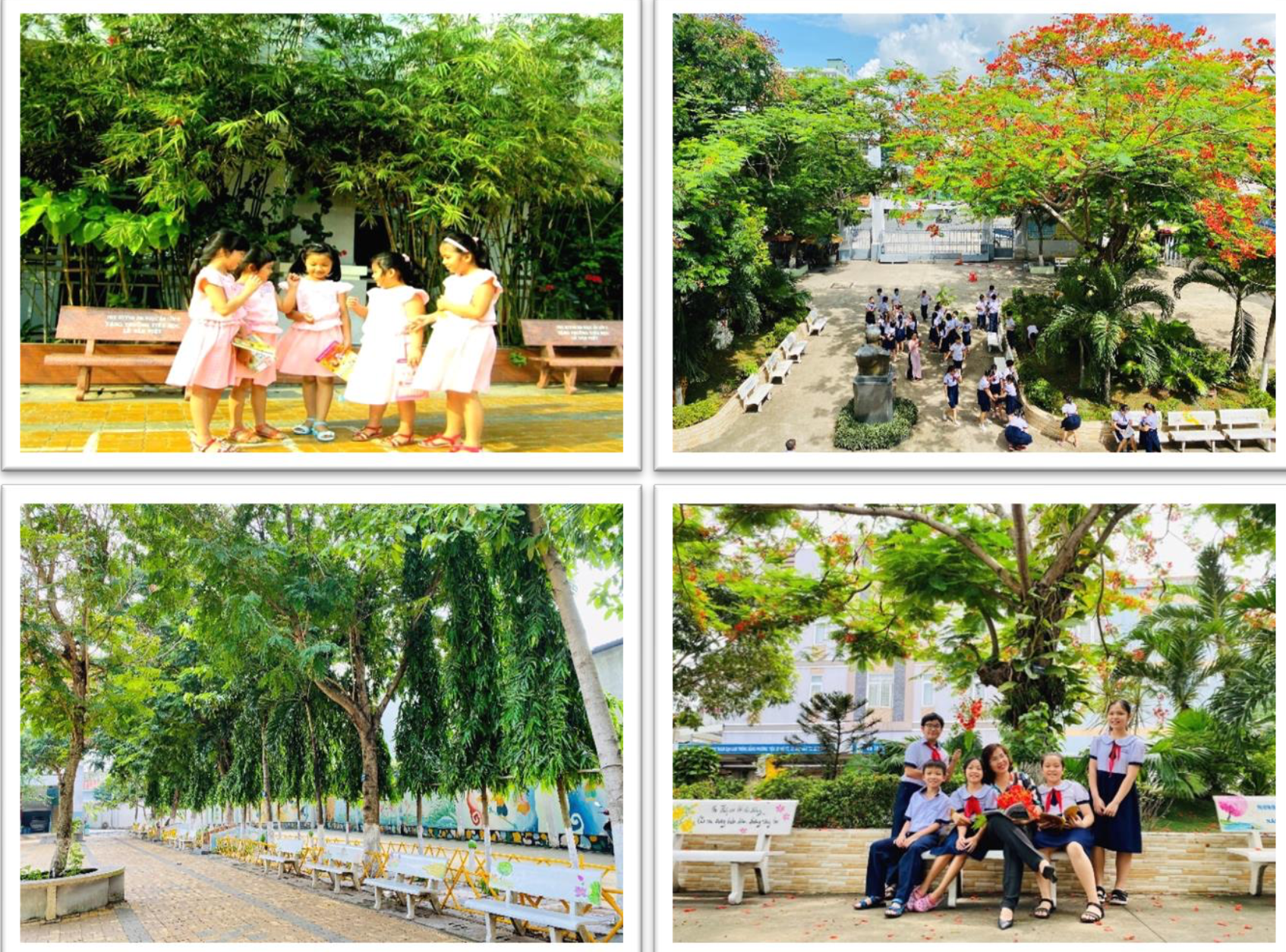 Những trường học ngát cây xanh ở TP.HCM