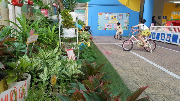 Những trường học ngát cây xanh ở TP.HCM