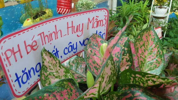 Những trường học ngát cây xanh ở TP.HCM